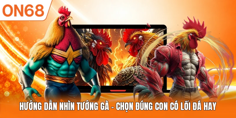 Hướng dẫn nhìn tướng gà và những điểm cần chú ý