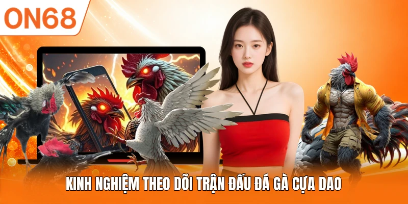 Kinh nghiệm theo dõi trận đấu đá gà cựa dao
