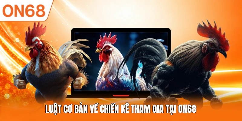 Luật cơ bản về chiến kê tham gia tại ON68
