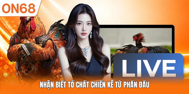 Nhận biết tố chất chiến kê từ phần đầu