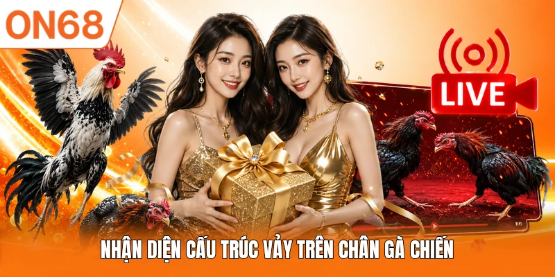 Nhận diện cấu trúc vảy trên chân gà chiến