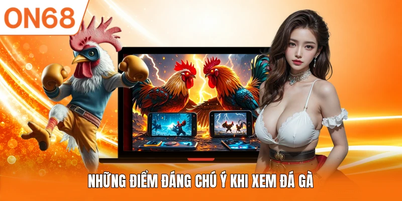 Những điểm đáng chú ý khi xem đá gà