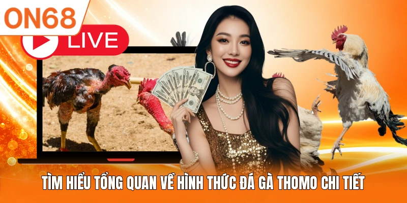 Tìm hiểu tổng quan về hình thức đá gà Thomo chi tiết