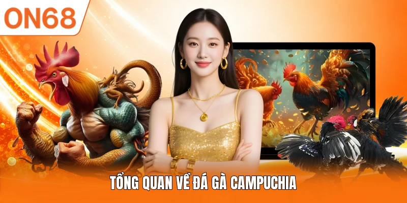 Tổng quan về đá gà Campuchia